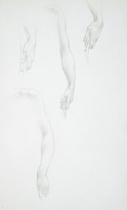 Études de bras et de mains (recto) ; Étude de torse féminin (verso)