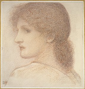 Étude de la tête d