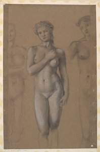 Nu féminin - Trois études, possiblement pour Vénus