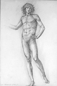 Amour, Roman de la Rose - Edward Coley Burne Jones