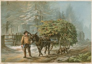 Un homme menant un âne