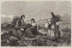 Clochettes de Bruyère - Edward John Cobbett