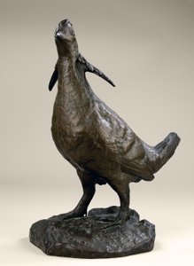 Poulet des prairies - Edward Kemeys