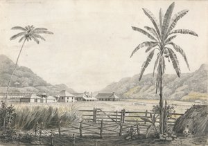 Vue de la plantation de sucre Hall-head, Jamaïque - Edward Kennion