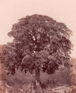 Étude d