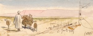 Une herbe sèche (Halfeh Grass) - Edward Lear