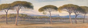 Vue de la pinède au dessus de Cannes - Edward Lear