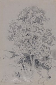 Burpham, le 4 octobre 1834 - Edward Lear