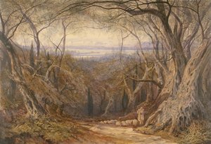 Corfou - Edward Lear
