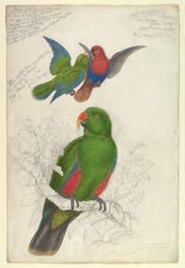  - Edward Lear