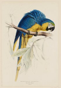  - Edward Lear