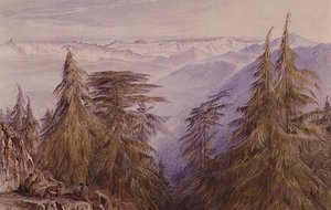 Singes sur un rocher près de Simla, Inde du Nord - Edward Lear