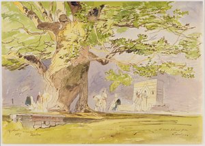 Sur la Route, Deux Heures de Tepelene - Edward Lear