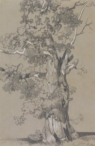 Parham, 13 octobre 1834