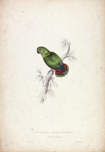  - Edward Lear