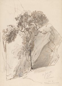 Syracuse, le 12 juin 1847 - Edward Lear