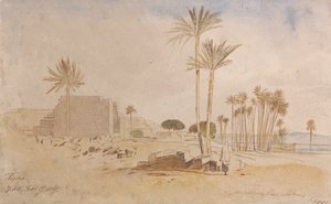 Tapha, 7 h 50, 17 février 1867 - Edward Lear