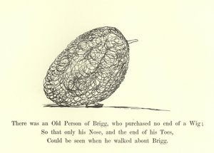Il y avait une vieille personne de Brigg, qui achetait une quantité infinie de perruques - Edward Lear