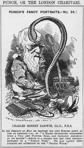 Charles Darwin, portraits fantaisistes de Punch, No 54, illustration de 