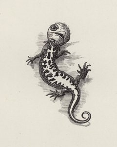 Illustration pour Les Enfants de l