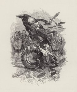 Illustration pour Les Enfants de l
