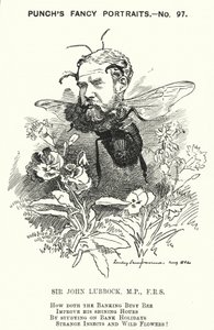 Caricature de Punch : John Lubbock - Edward Linley (after) Sambourne