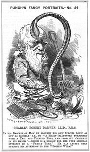 Charles Darwin (1809-1882) naturaliste anglais. Évolution par sélection naturelle. Caricature par Edward Linley Sambourne (1844-1910) dans la série Fancy Portraits de Punch, Londres 1881, l