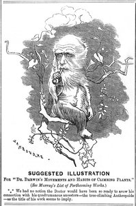 Charles Darwin, naturaliste anglais, 1875