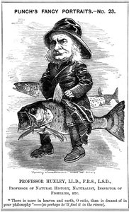 Thomas Henry Huxley, biologiste anglais, 1881 - Edward Linley Sambourne