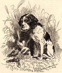 William GGV Vernon Harcourt (1827-1904) - Edward Linley Sambourne