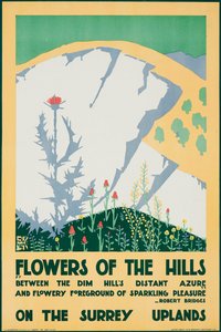 Fleurs des collines, sur les hauts plateaux du Surrey