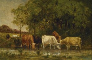 Vaches dans le paysage