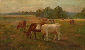 Vaches, n.d.