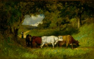 Ramener les vaches à la maison