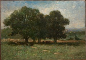 Paysage