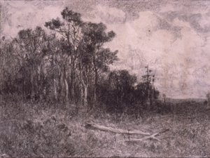 Paysage, scène de forêt - Edward Mitchell Bannister