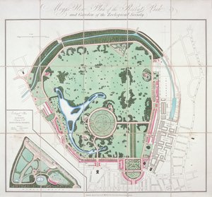 Plan des jardins zoologiques, Regent