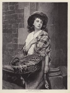 Douce Lavande - Edward Patry