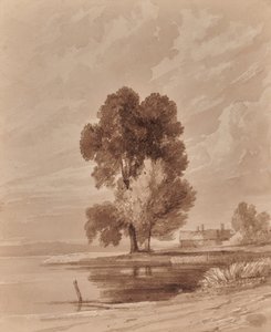 Paysage avec arbres