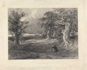 Périphérie de la forêt
