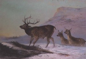 Hiver - Edward Robert Smythe