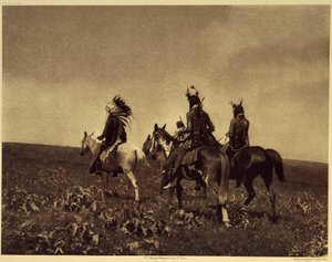 Un raid réussi pour les chevaux
