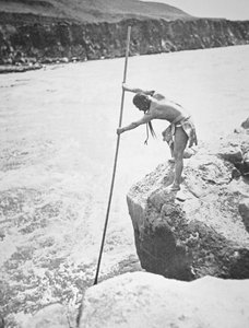 Les Chinook pêchant le saumon dans la rivière Columbia