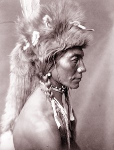 Yellow Kidney, Piegan - Edward Sheriff Curtis