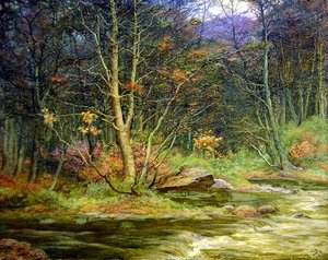 Un ruisseau forestier