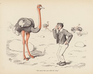 Histoires avec une Torsion: L