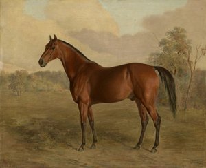 Pic du Kentucky - Edward Troye