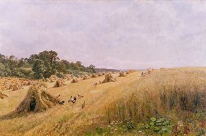 Récolte de champ de maïs - Edward Wilkins Waite