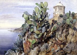 Cactus Opuntia, Monaco - Edward William Cooke