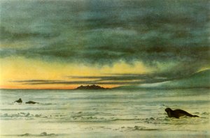 Regard vers le nord dans le détroit de McMurdo